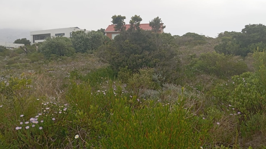 0 Bedroom Property for Sale in Pringle Bay Western Cape